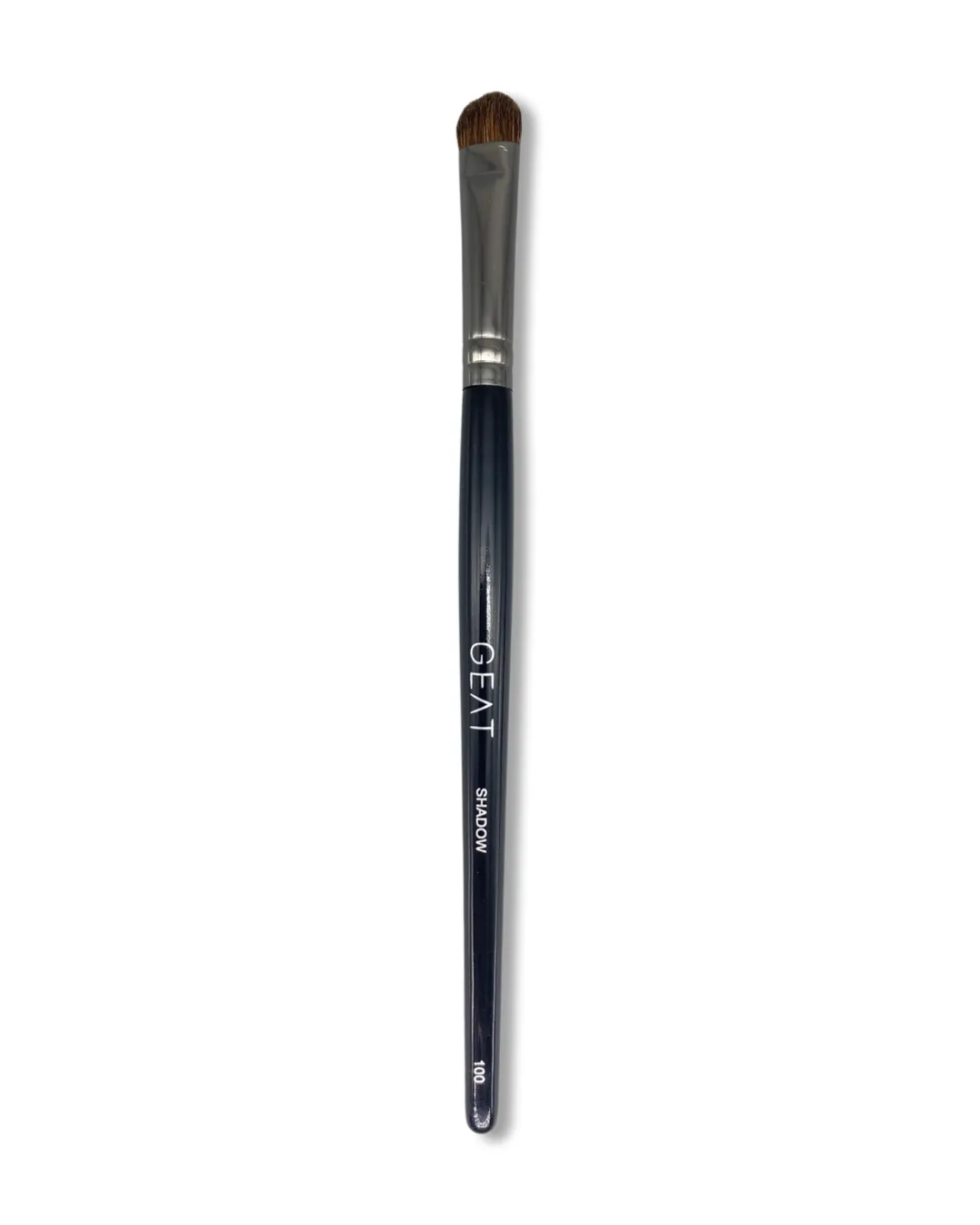 1 CHRONICLES - PRO EYE BRUSH SET