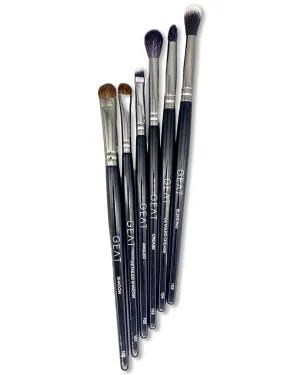 1 CHRONICLES - PRO EYE BRUSH SET