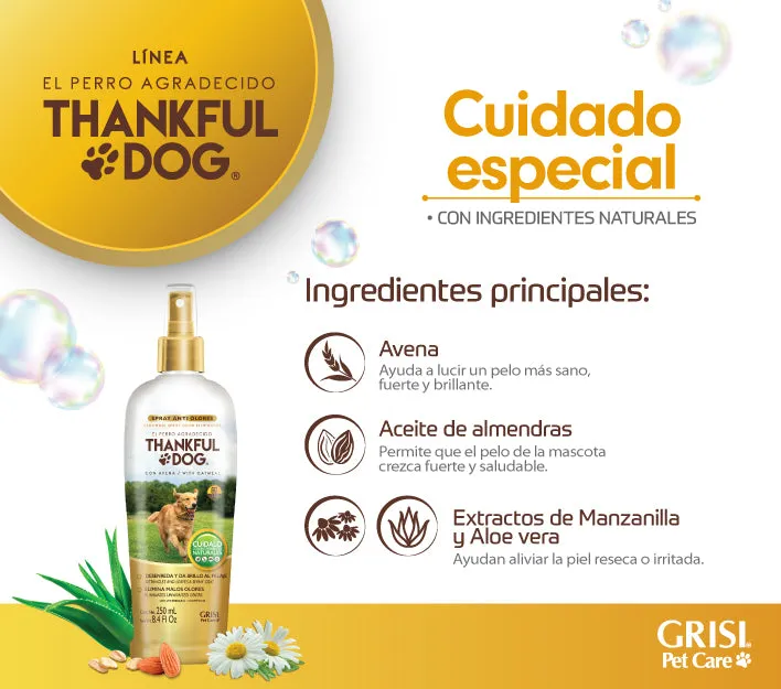 3 Pack Spray Deodorizante Thankful Dog