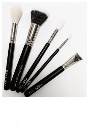 5pc Everyday Necessity Basic Makeup Brush set