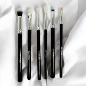 6 PIECE PRO EYE MAKEUP BRUSH SET