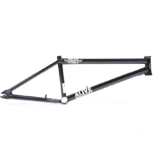 Alive Grad Type 1 Frame (Welded Brake Mounts)