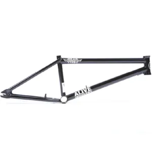 Alive Grad Type 1 Frame (Welded Brake Mounts)