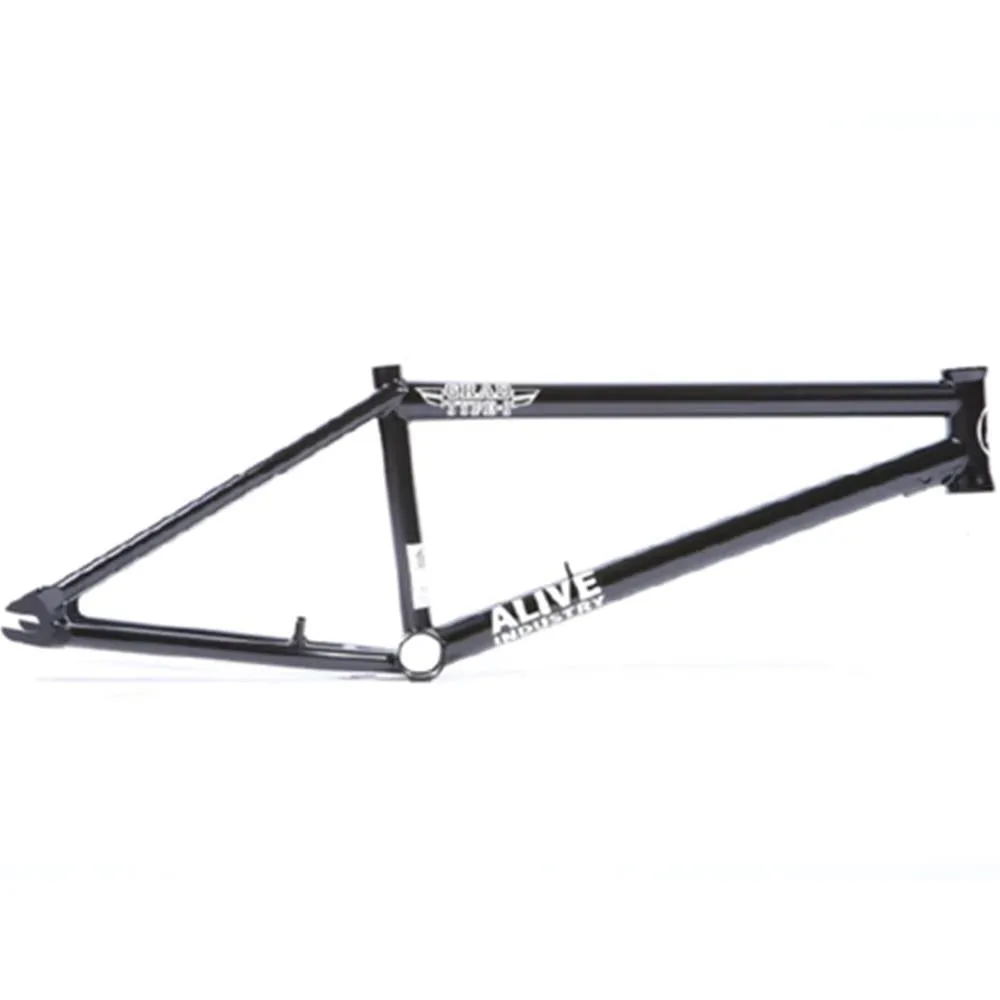 Alive Grad Type 1 Frame (Welded Brake Mounts)