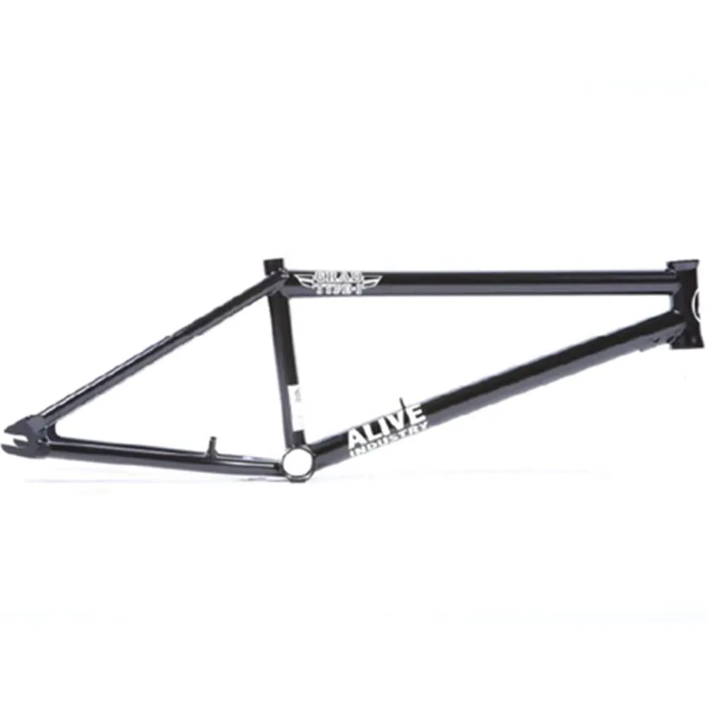 Alive Grad Type 1 Frame (Welded Brake Mounts)