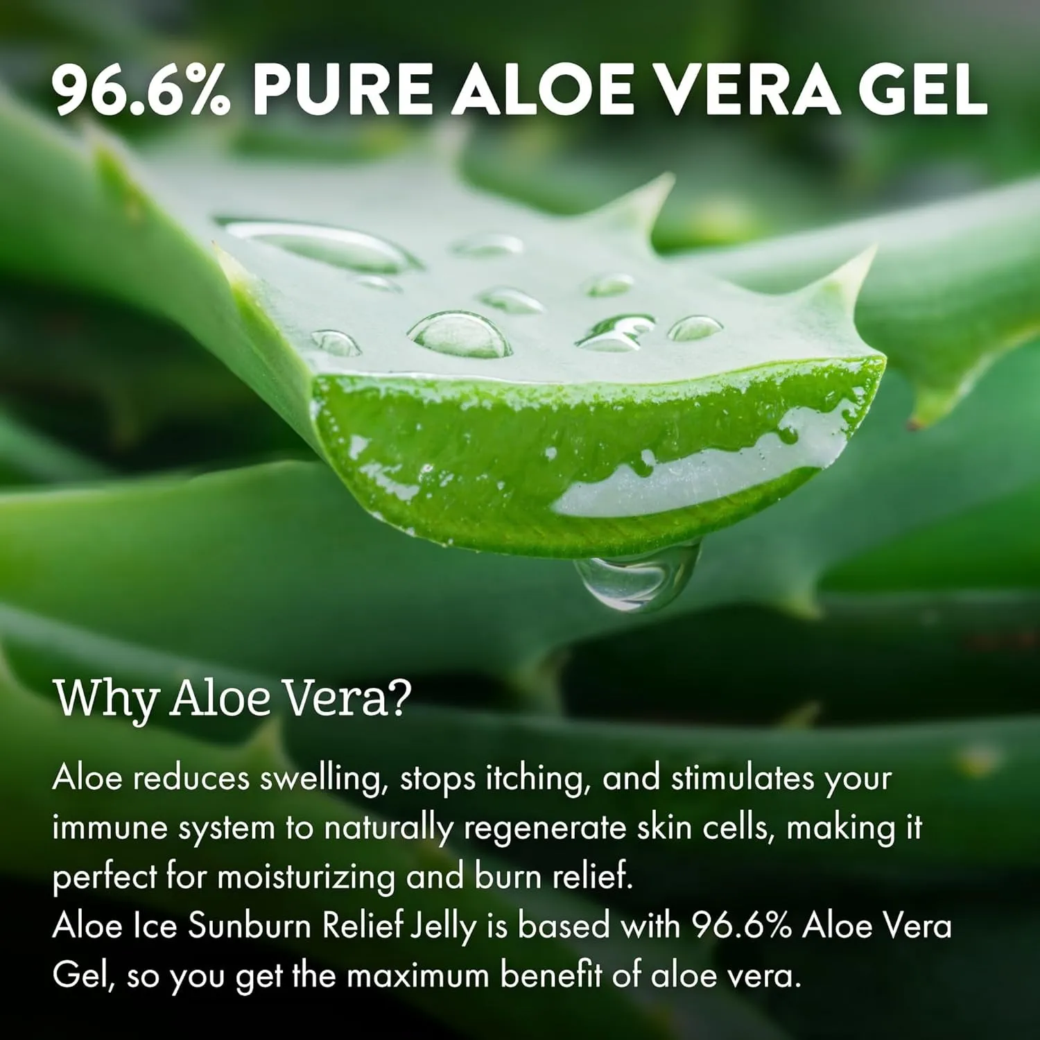 Aloe Ice Sunburn Relief Jelly - Face and Body Organic after Sun Gel - with 96.6% Pure Aloe Vera Gel - Reef Safe - Alcohol- and Fragrance-Free - 4 Oz