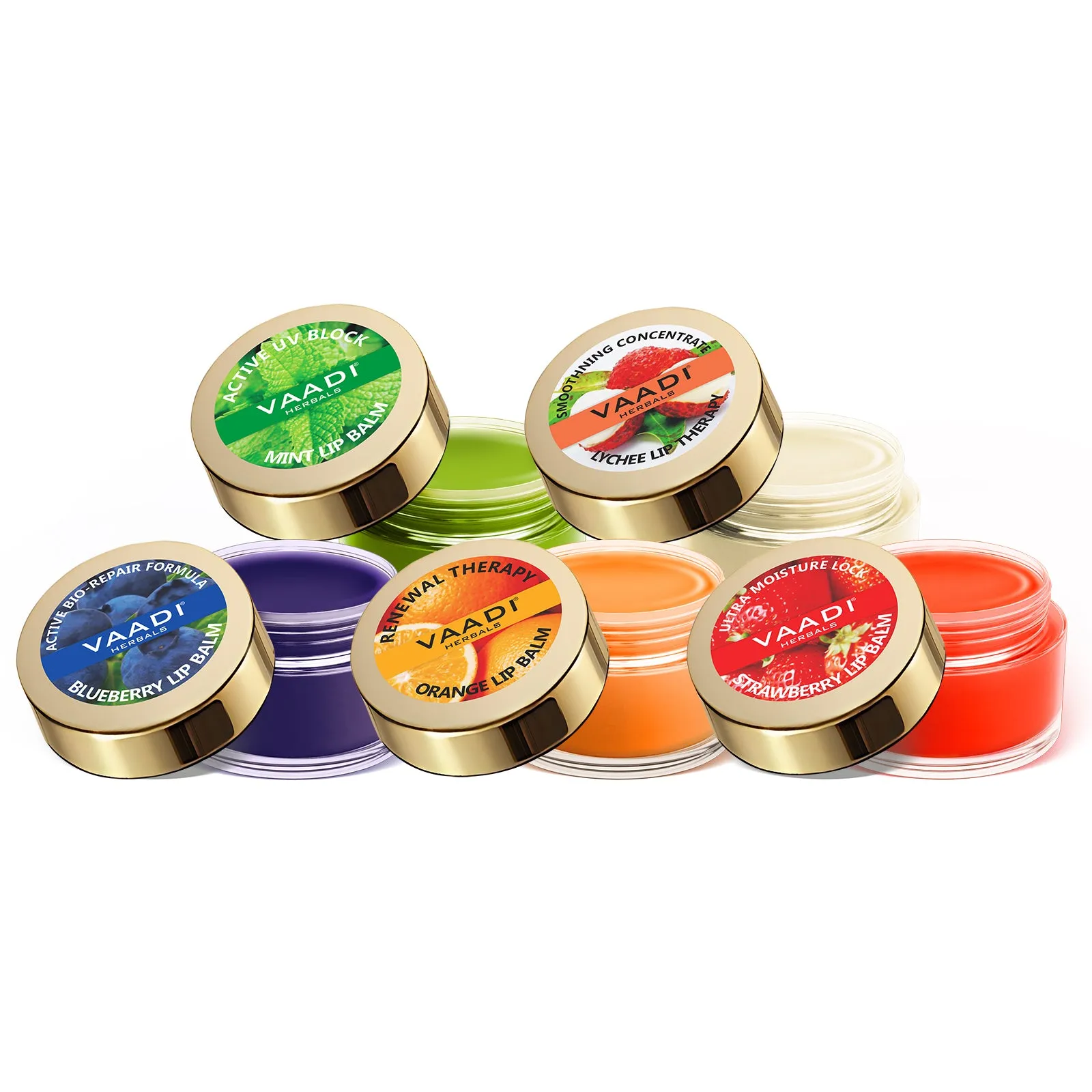 Assorted Pack of 5 Lip Balms (10 gms x 5)