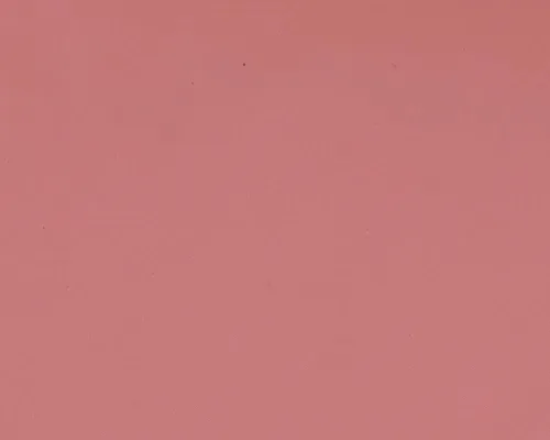 Balmy Gloss Tinted Lip Oil