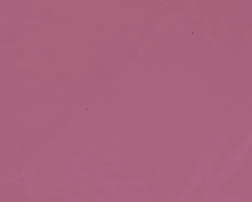 Balmy Gloss Tinted Lip Oil