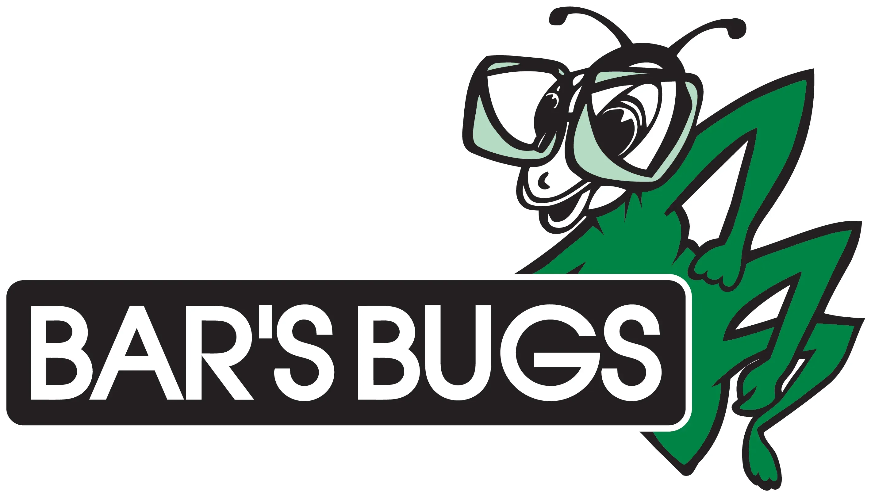 Bars Bugs best-selling Windscreen Cleaner Concentrate - 600ml  Super strength
