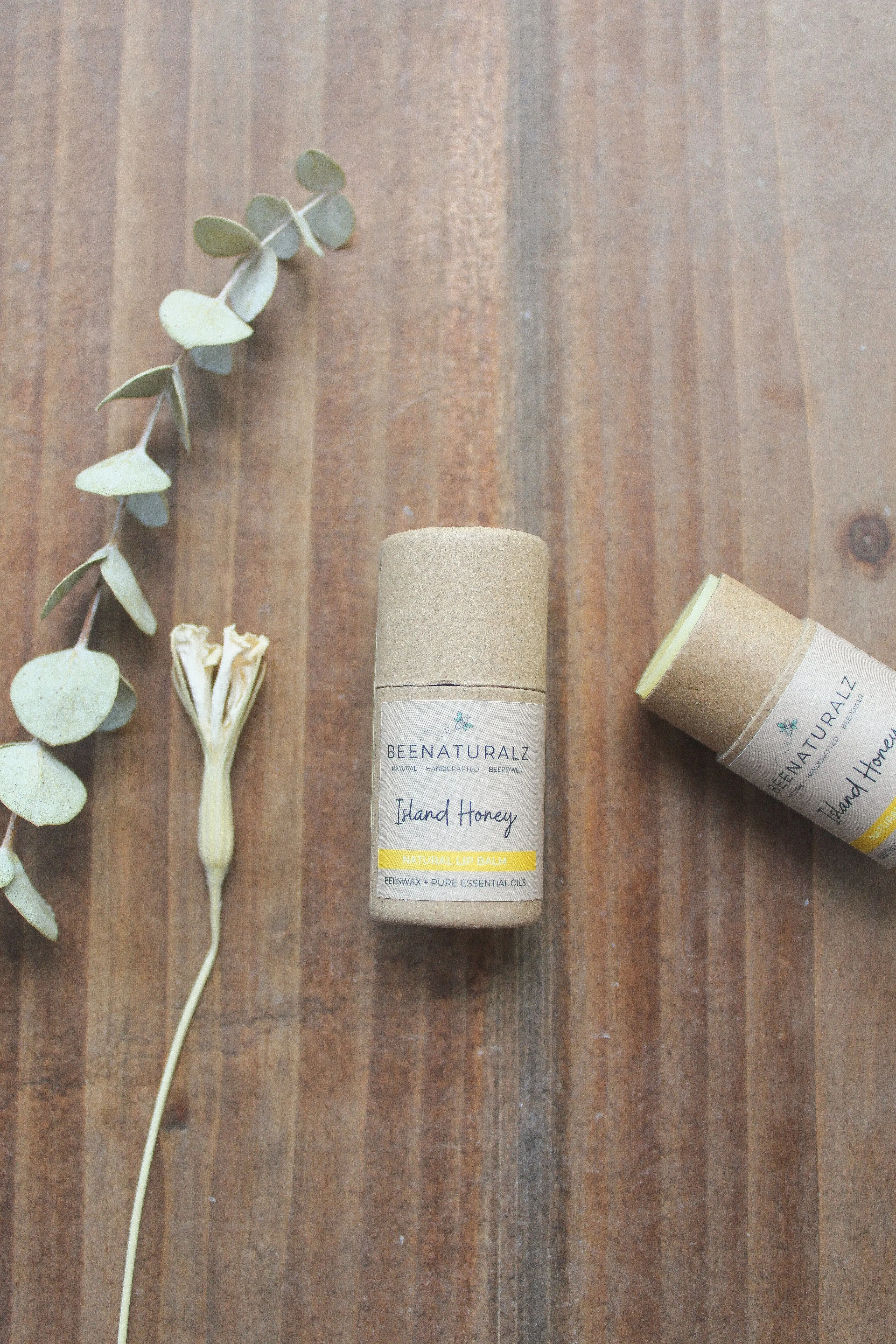 Beeswax Lip Balm - Island Honey