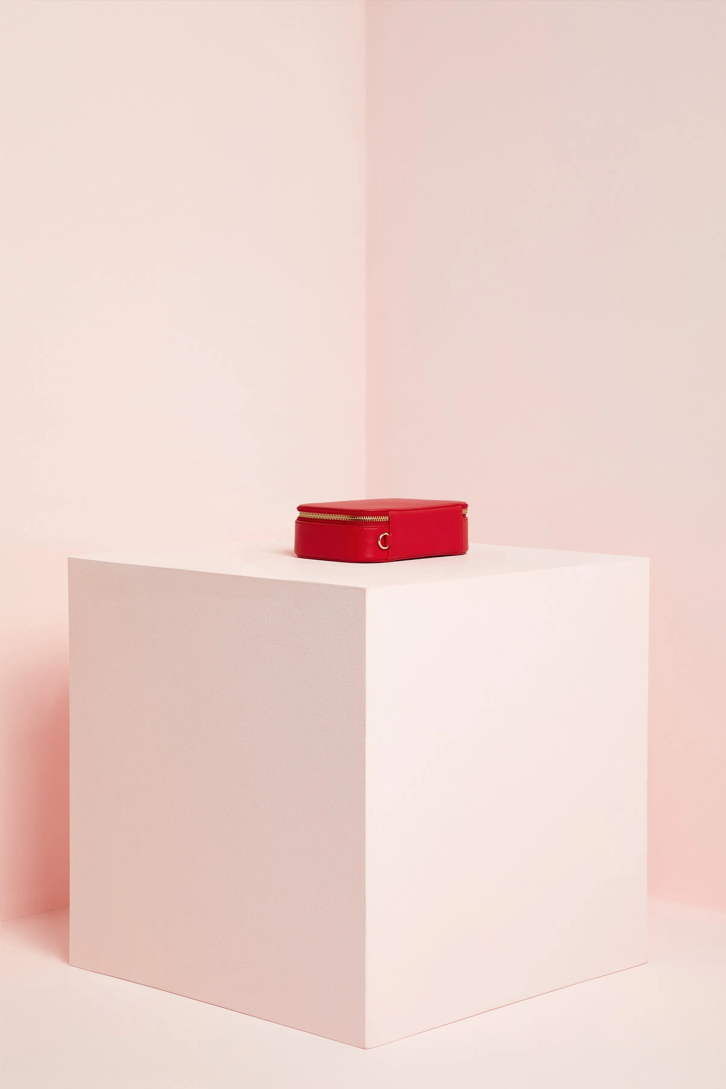 Bigger Makeup Case