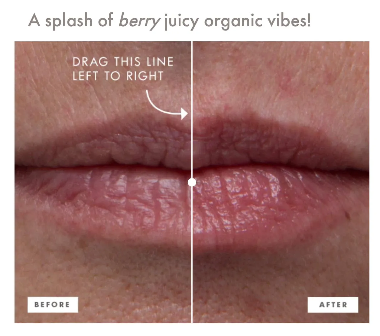 Blackberry Crush 2 Step Luscious Lip Kit