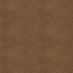 Bolsena Sofa and Loveseat