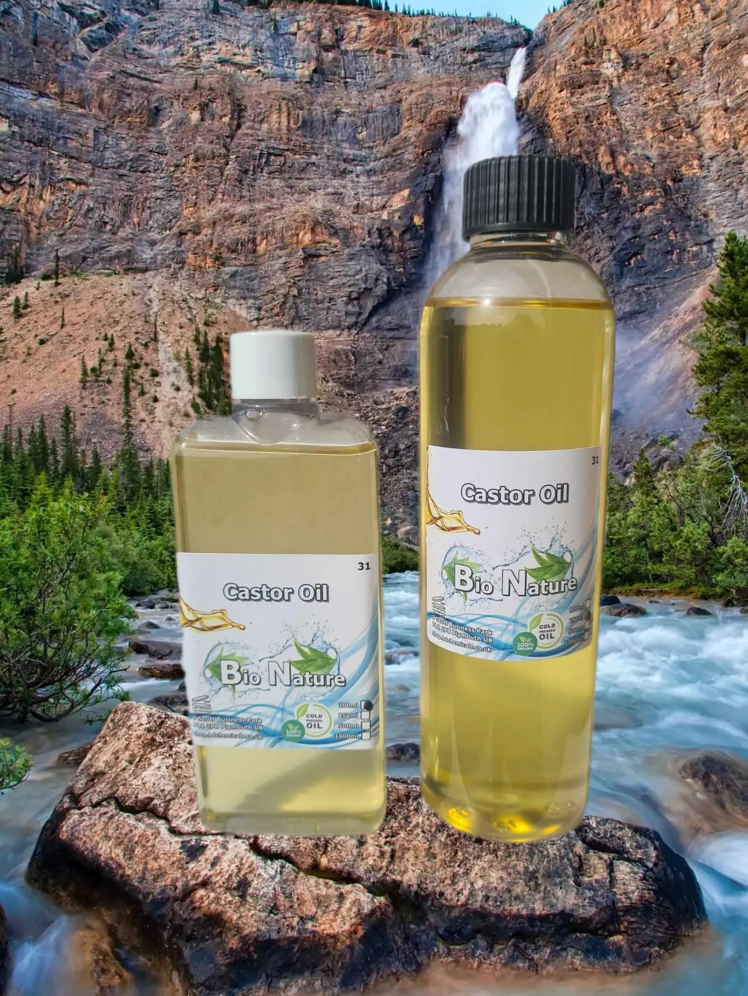 Castor Carrier Oil