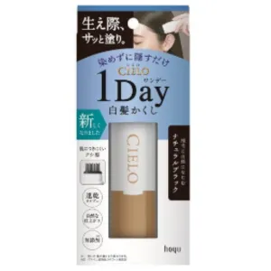 CIELO 1-Day Gray Hair Concealer Hair Color Comb -#Natural Black 9ml