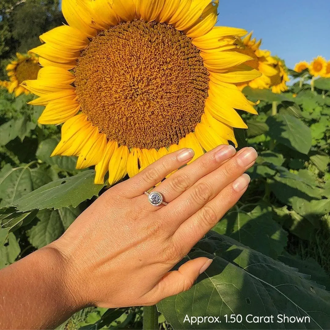Daria Bezel-Set Halo Engagement Ring (setting only)