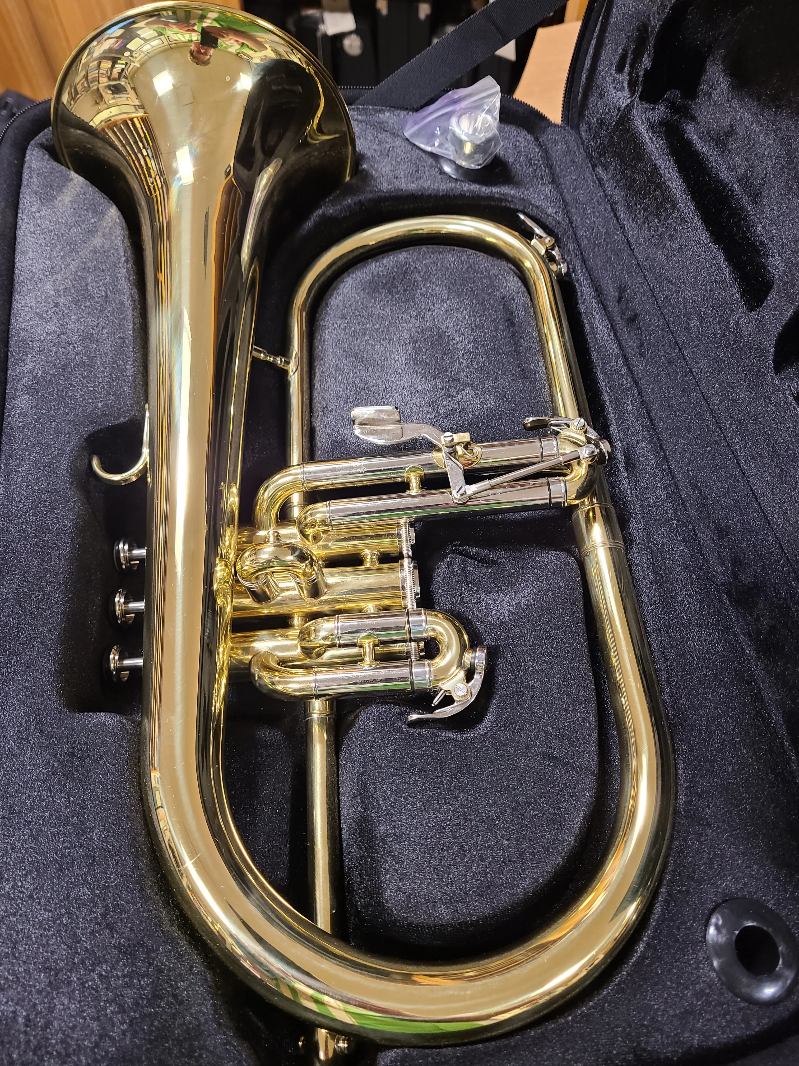 Demo Eastman EFG-412 Flugelhorn