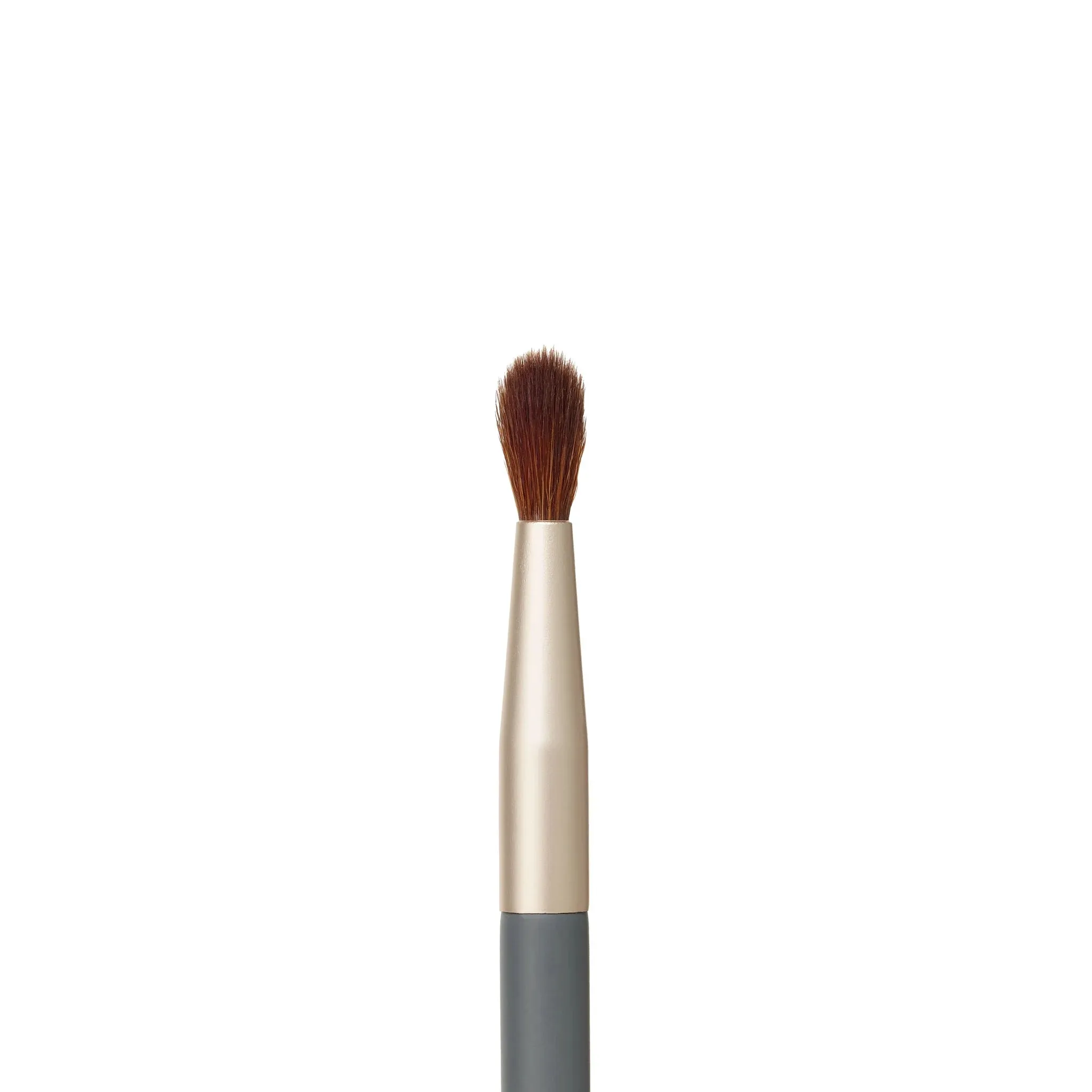 Detail Brush Ⓥ