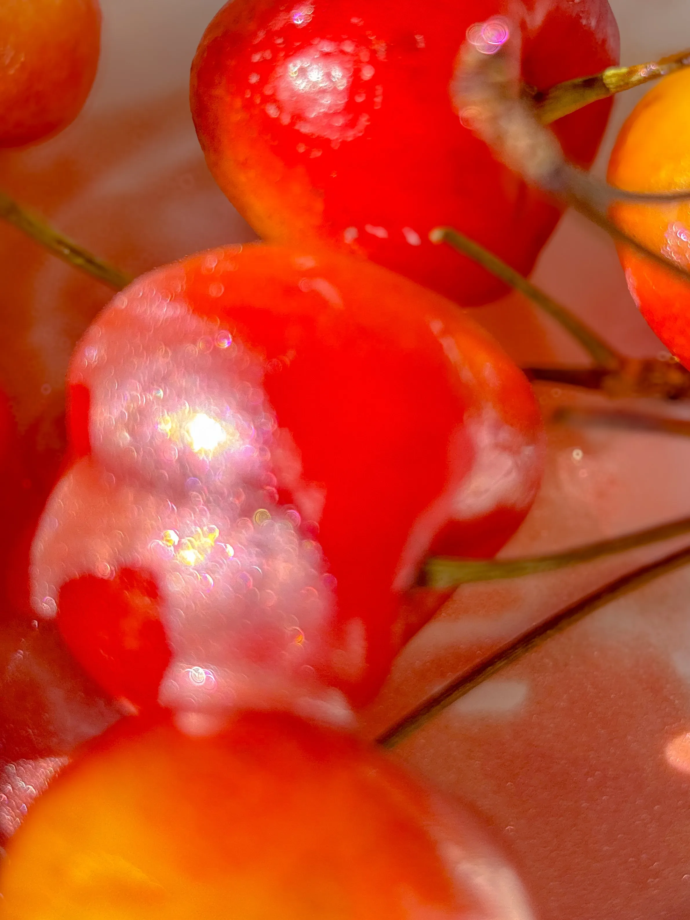 Docinha Cherry Rose Vanilla Pink Glow Oil Illuminating Drops (face   body)
