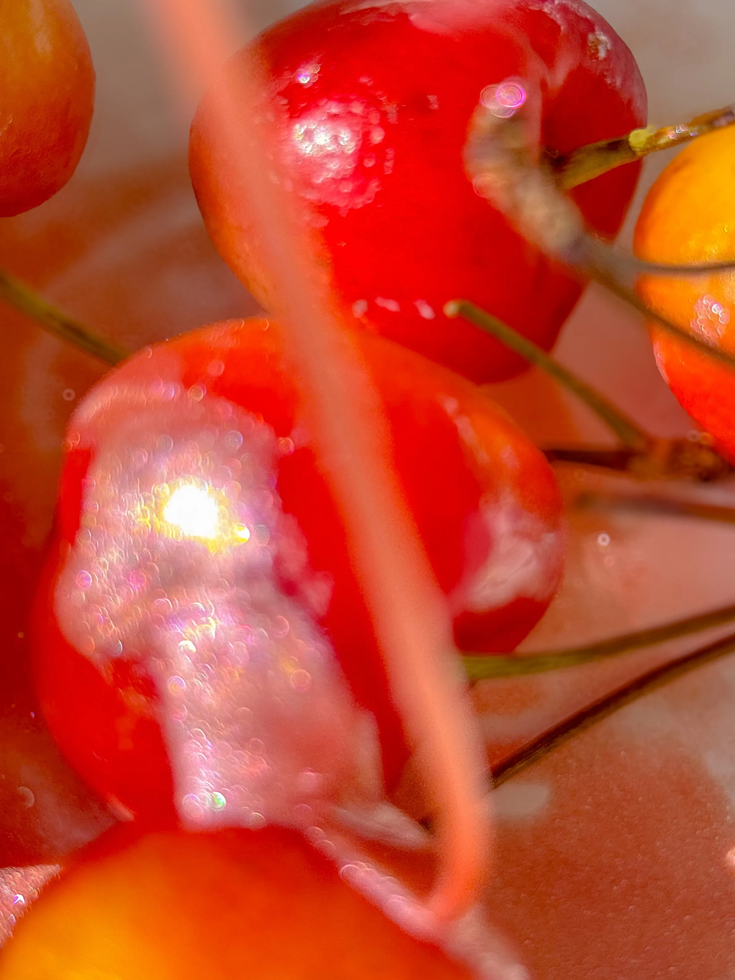 Docinha Cherry Rose Vanilla Pink Glow Oil Illuminating Drops (face   body)