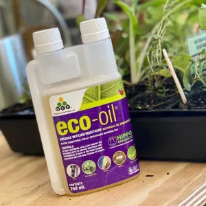 Eco-Oil Organic Insecticide - 250mL