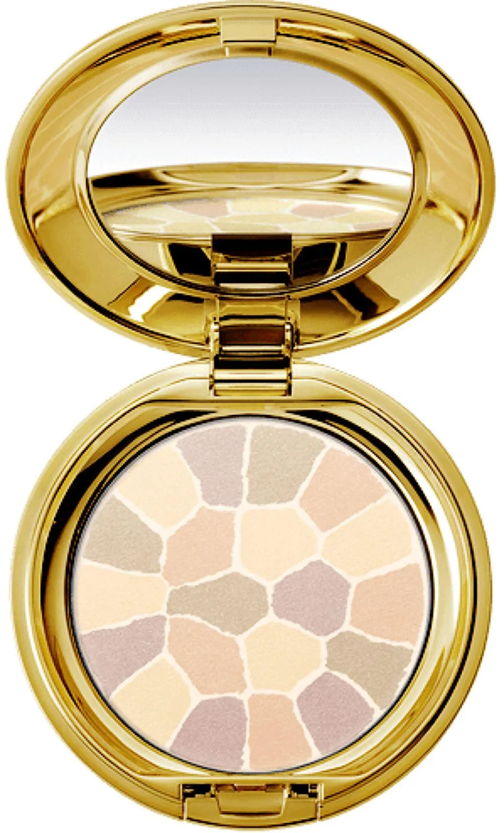 Elegance La Poudre Haute Nuance Face Powder 8.8g -#05 V Gloss (Luminous)