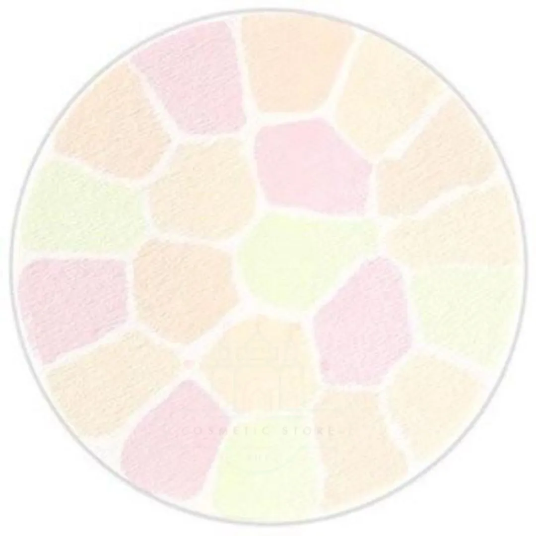 Elegance La Poudre Haute Nuance Face Powder 8.8g - #06 VI Airy (Semi-matte)