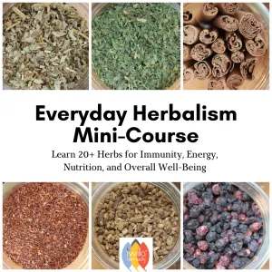 Everyday Herbalism Digital Mini-Course | Online Learning