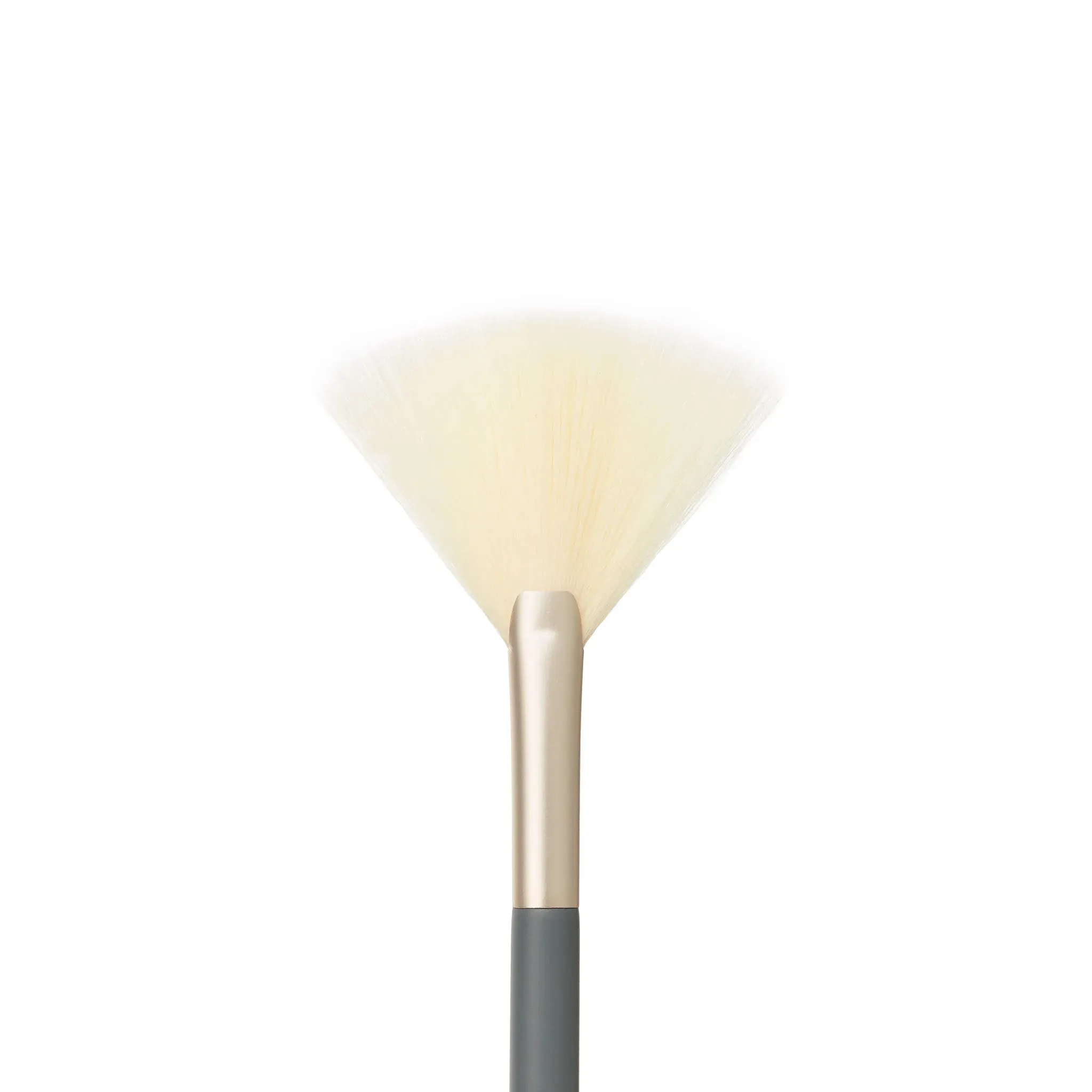 Fan Brush Ⓥ