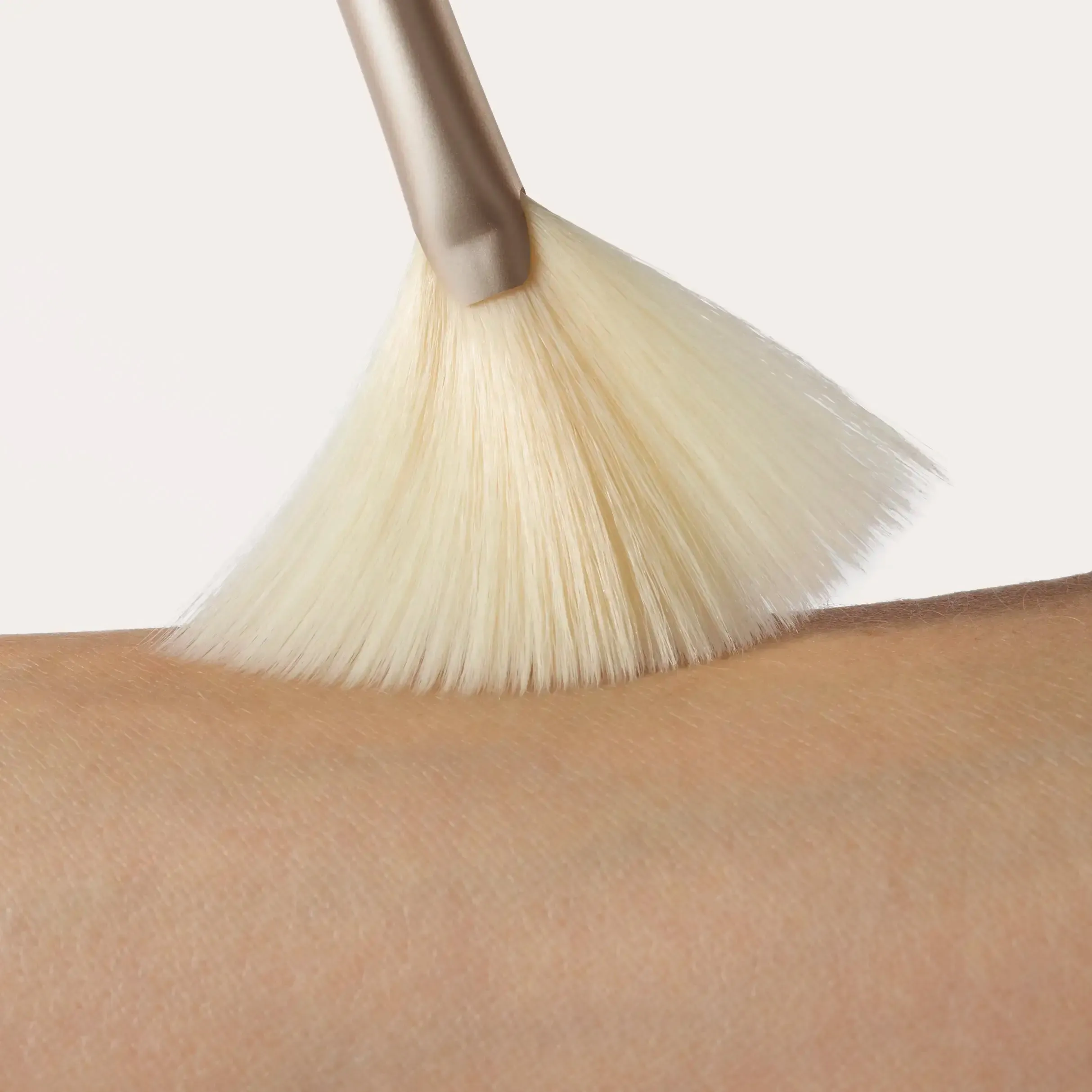 Fan Brush Ⓥ
