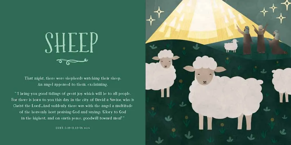 From Eden to Bethlehem - Board Book