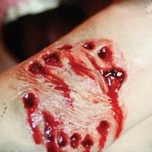 FX Transers 3D - Big Bite