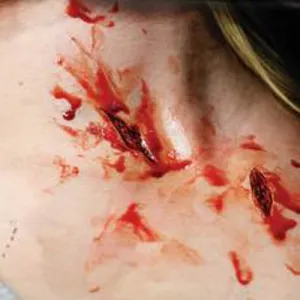FX Transers 3D - Shanked