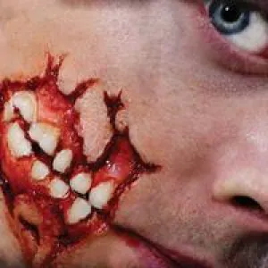 FX Transers Small / Cheek Decay