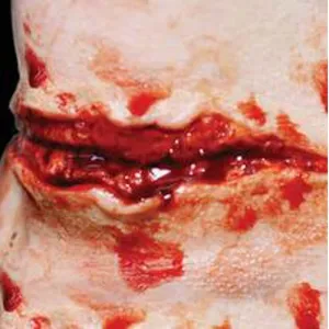 FX Transfers - Cut Throat