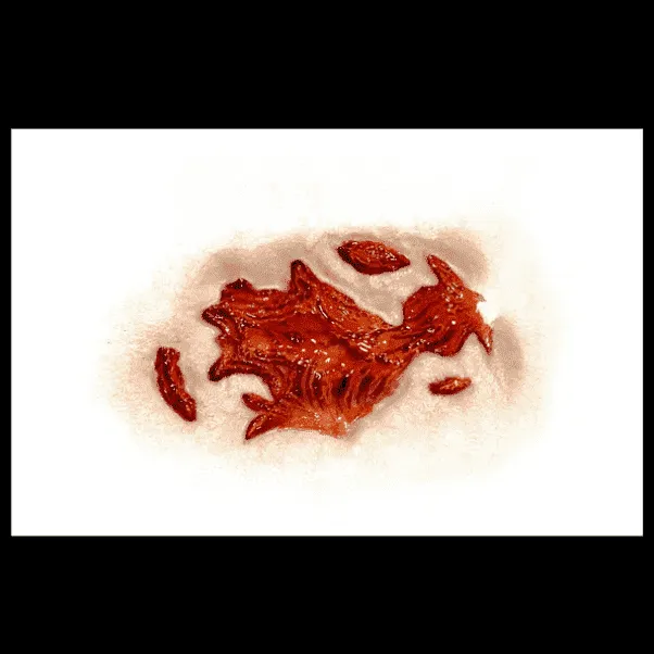 Gash Halloween Professional Makeup 3D FX Transfer