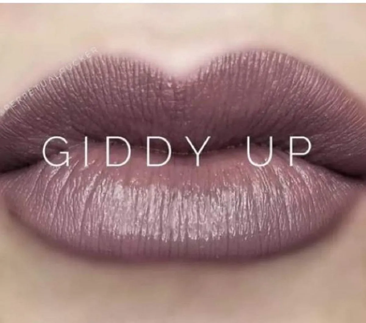 Giddy Up, LipSense Liquid Lip Color