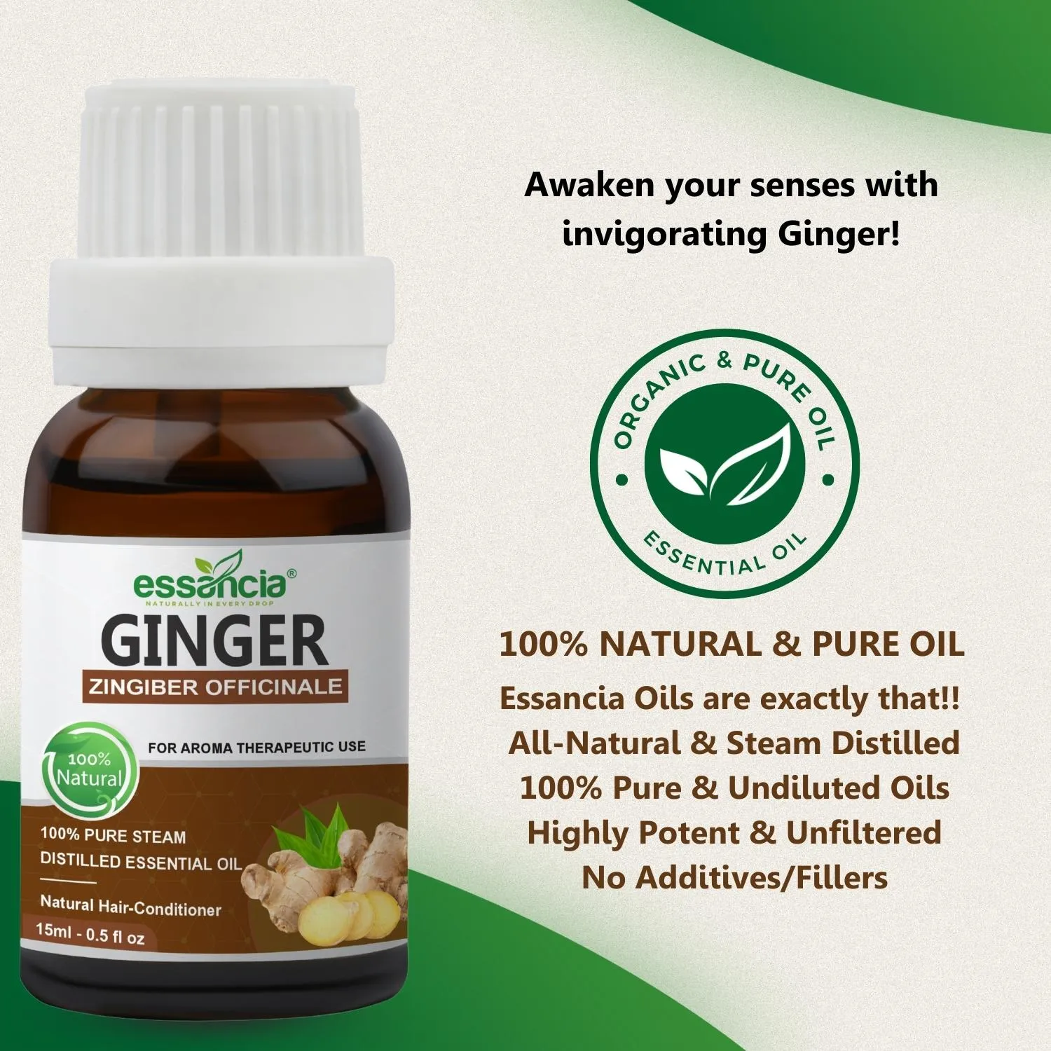 Ginger Essential Oil