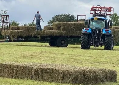 Hay bales
