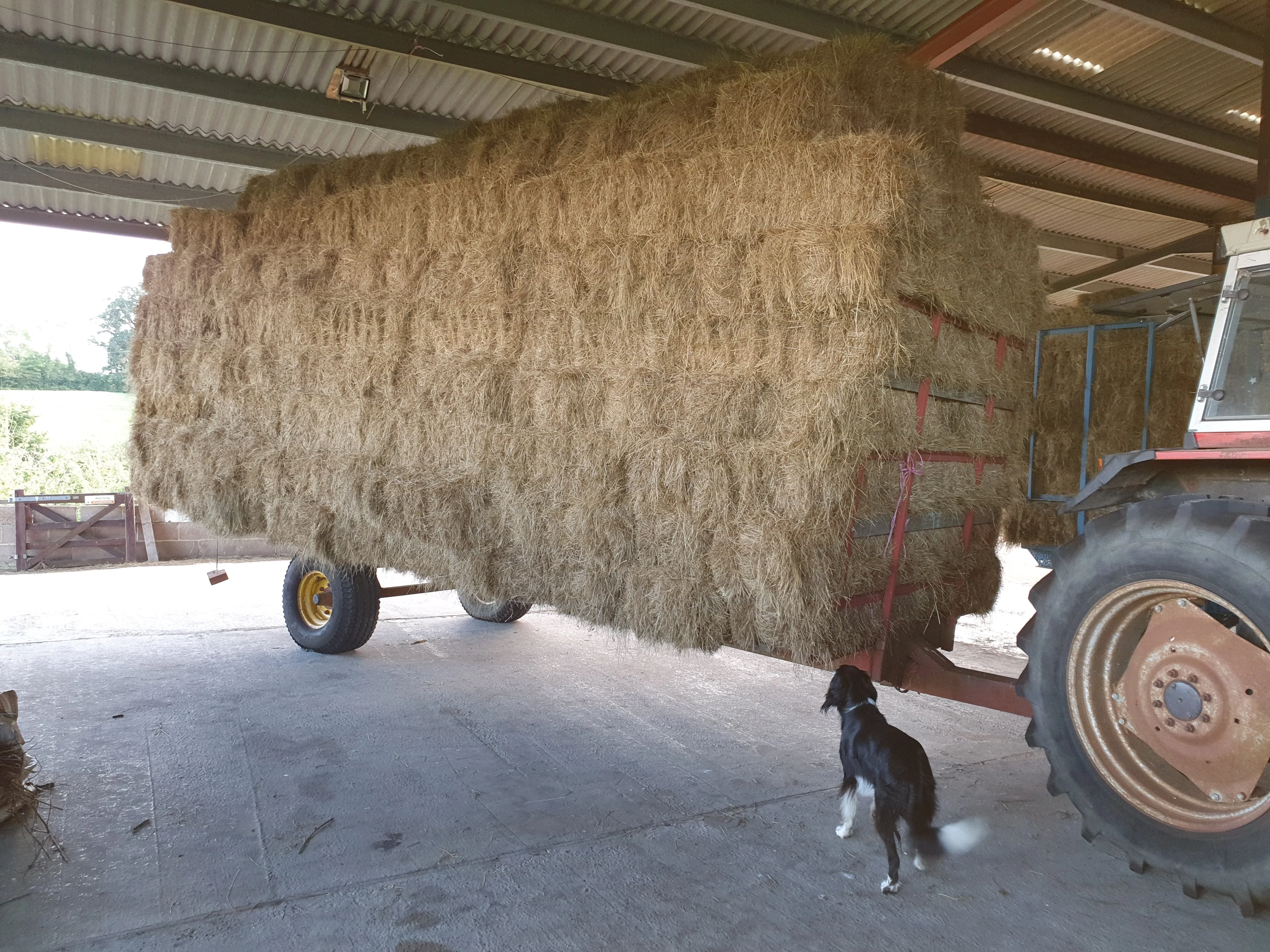 Hay bales