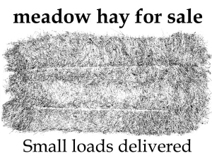 Hay bales