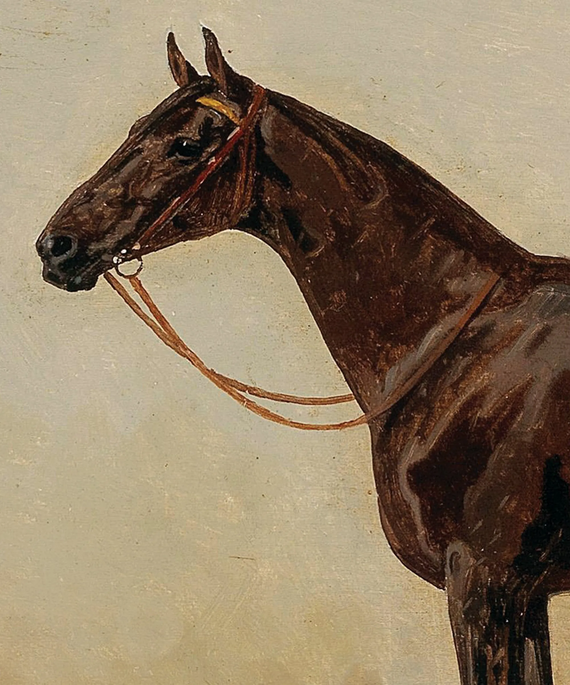 Horse Portrait No. 10