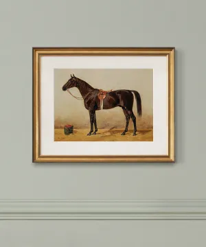 Horse Portrait No. 10