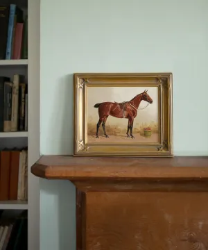 Horse Portrait No. 11