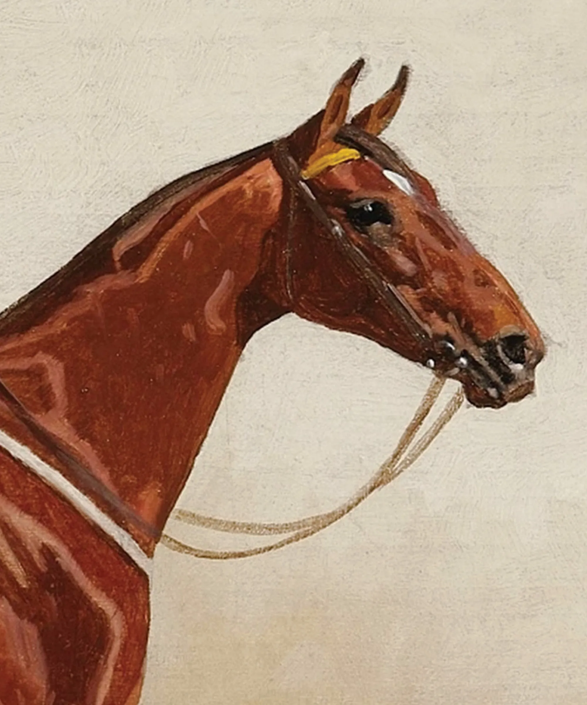 Horse Portrait No. 11