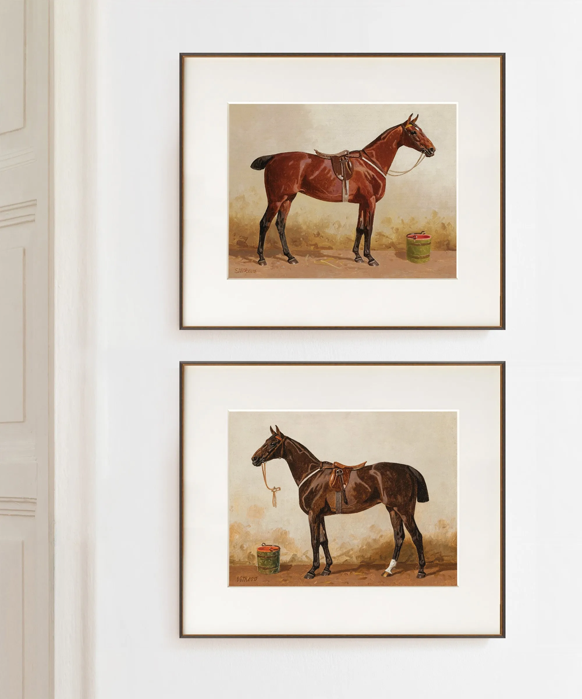 Horse Portrait No. 11