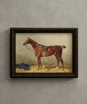 Horse Portrait No. 1