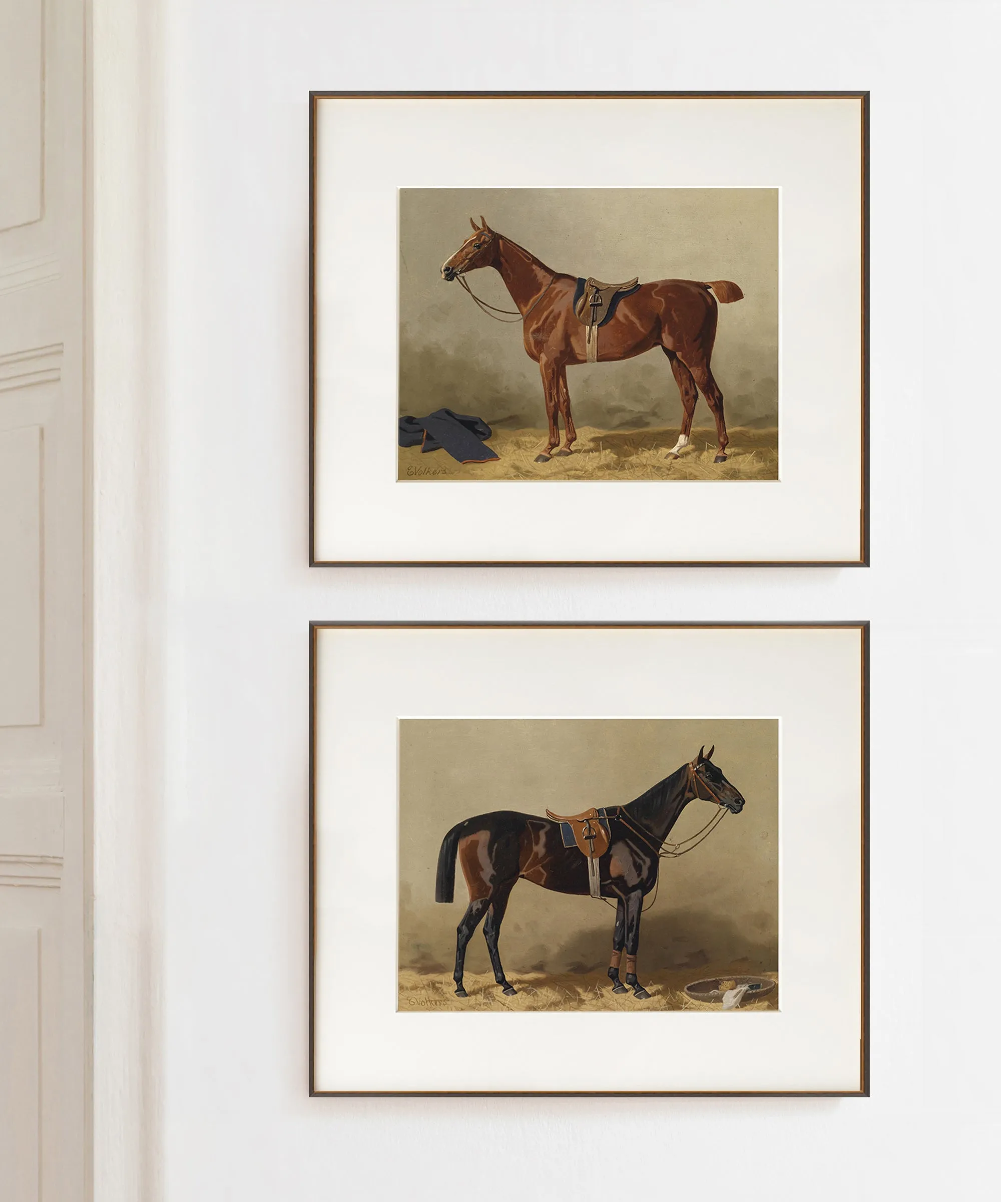 Horse Portrait No. 1