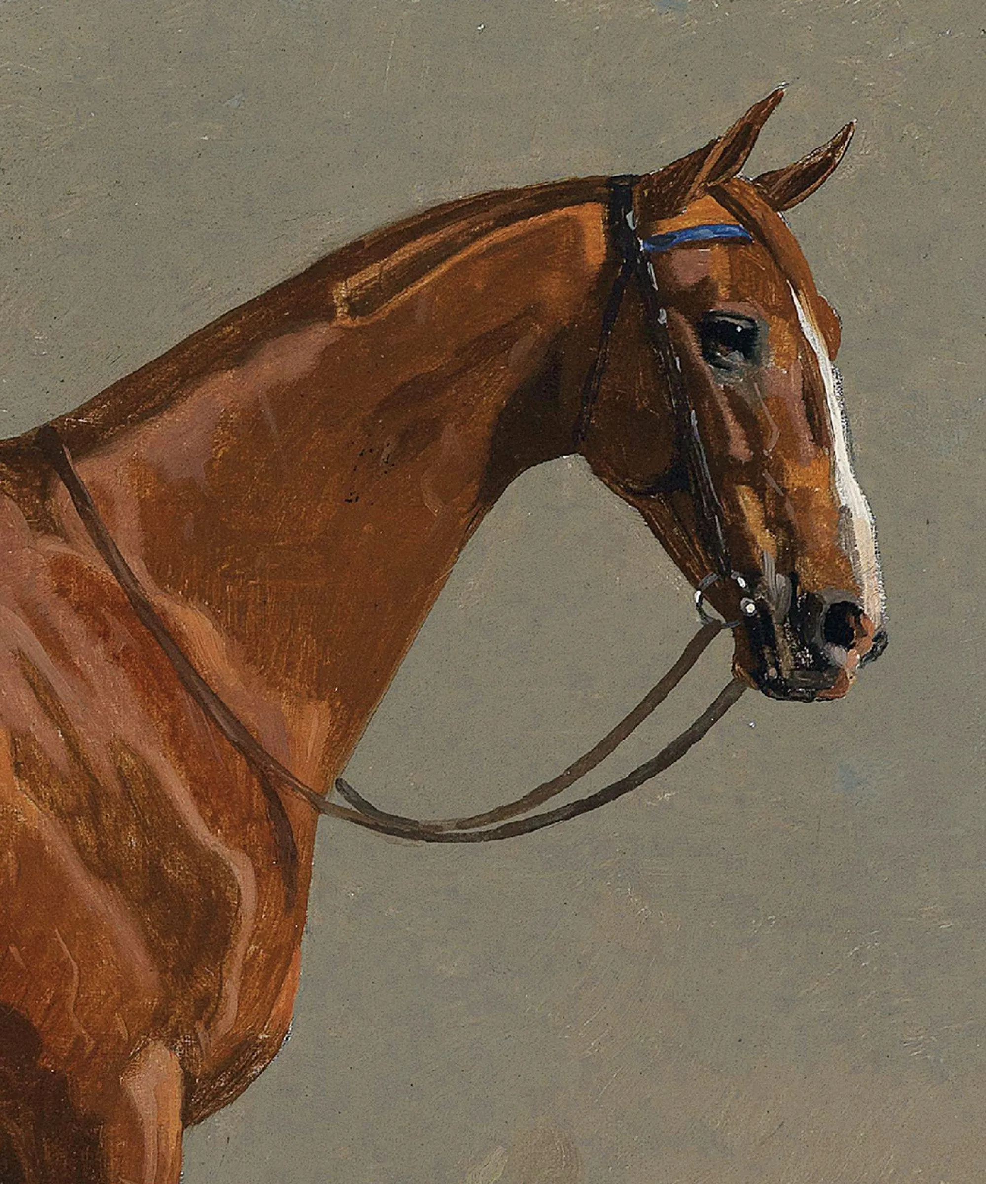 Horse Portrait No. 3